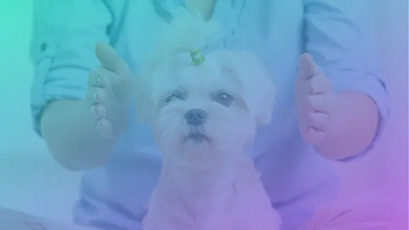 reiki-em-animais-e-plantas